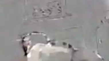 Live XXX cam show with oil massage